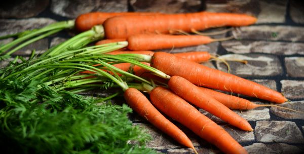 carrots,vegetables,harvest