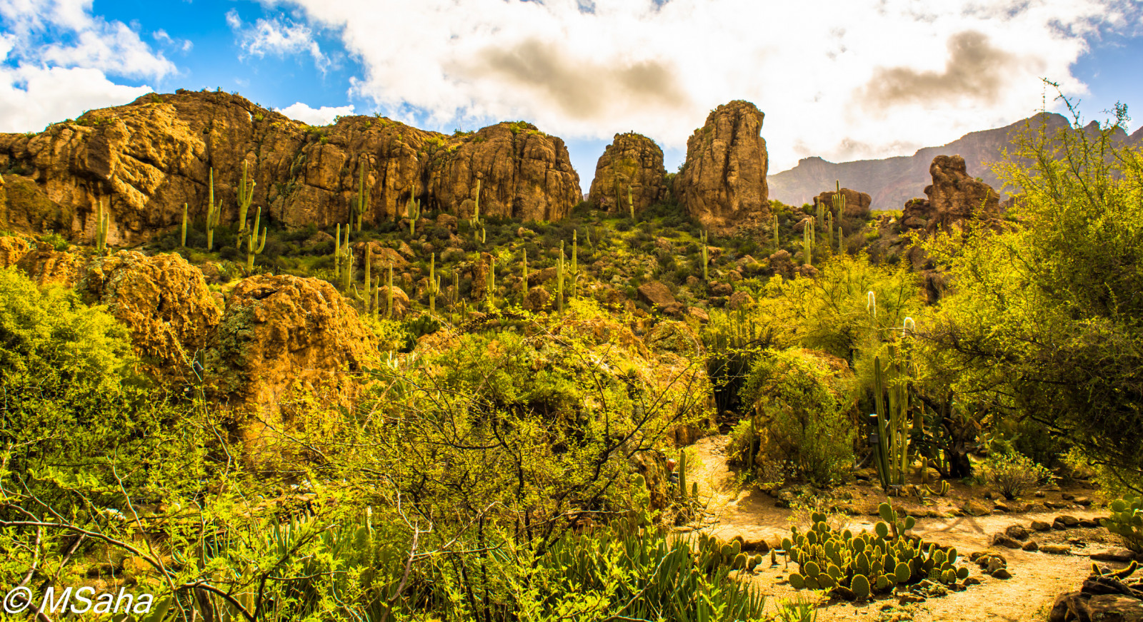 vegetace, Příroda, divočina, přírodní rezervace, ekosystém, křoviny, Skála, nebe, národní park, hora, sráz, strom, Formace, plant community, mount scenérie, krajina, tráva, biome, badlands, Terén, neočekávaný výskyt, geologie, tropical and subtropical coniferous forests, les, kopec, kaňon, savana, útes, džungle