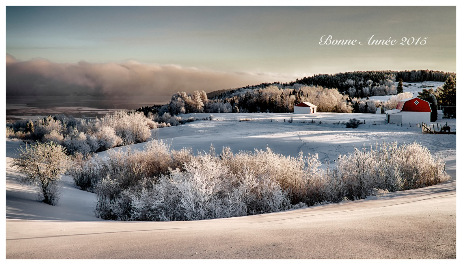 Wallpaper snow, winter, morning, panorama, 2015, weather, season, saguenay, bonne, anne e