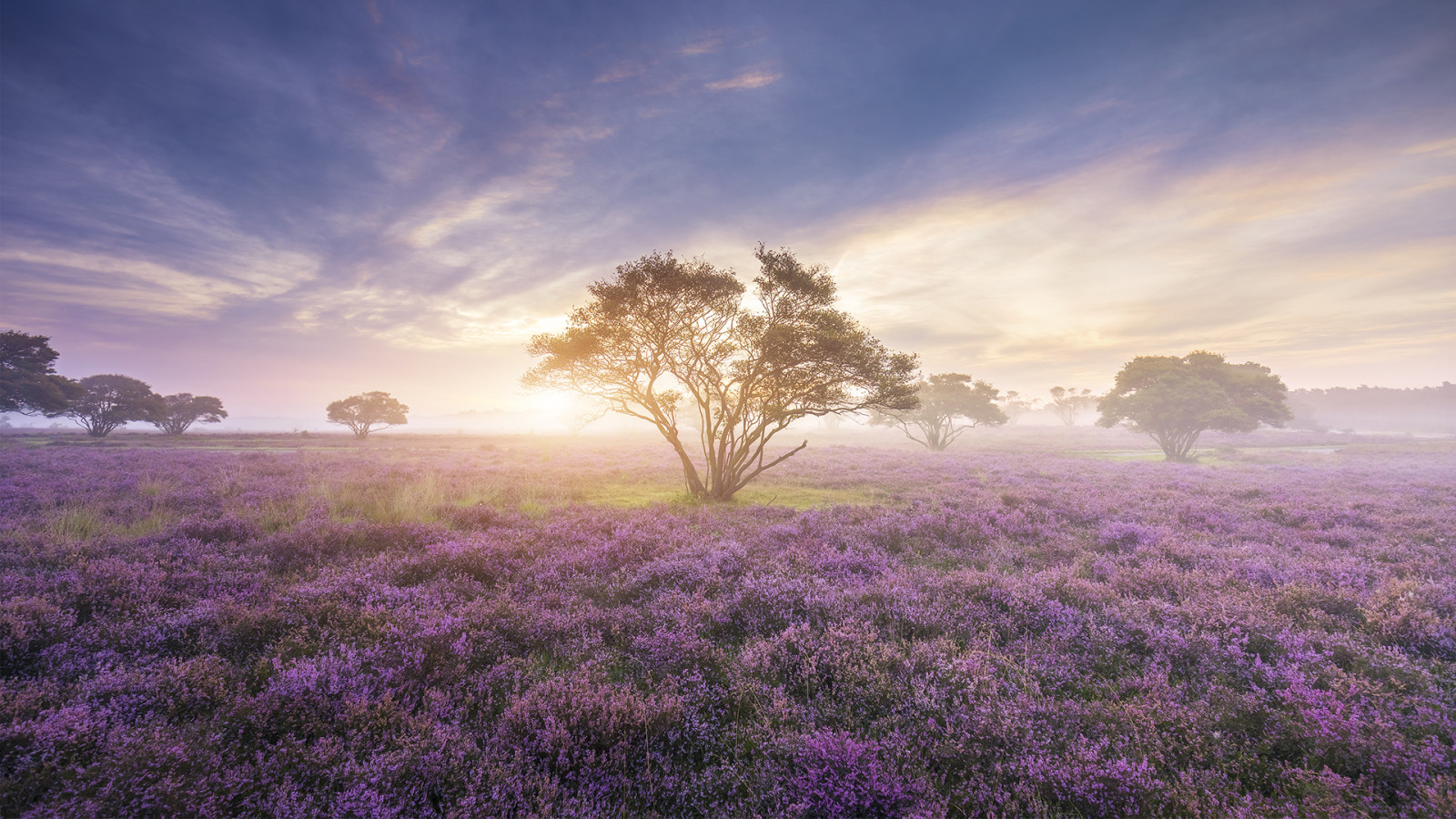 Wallpaper : landscape, sunrise 1920x1080 - EvanBourne - 1273933 - HD ...