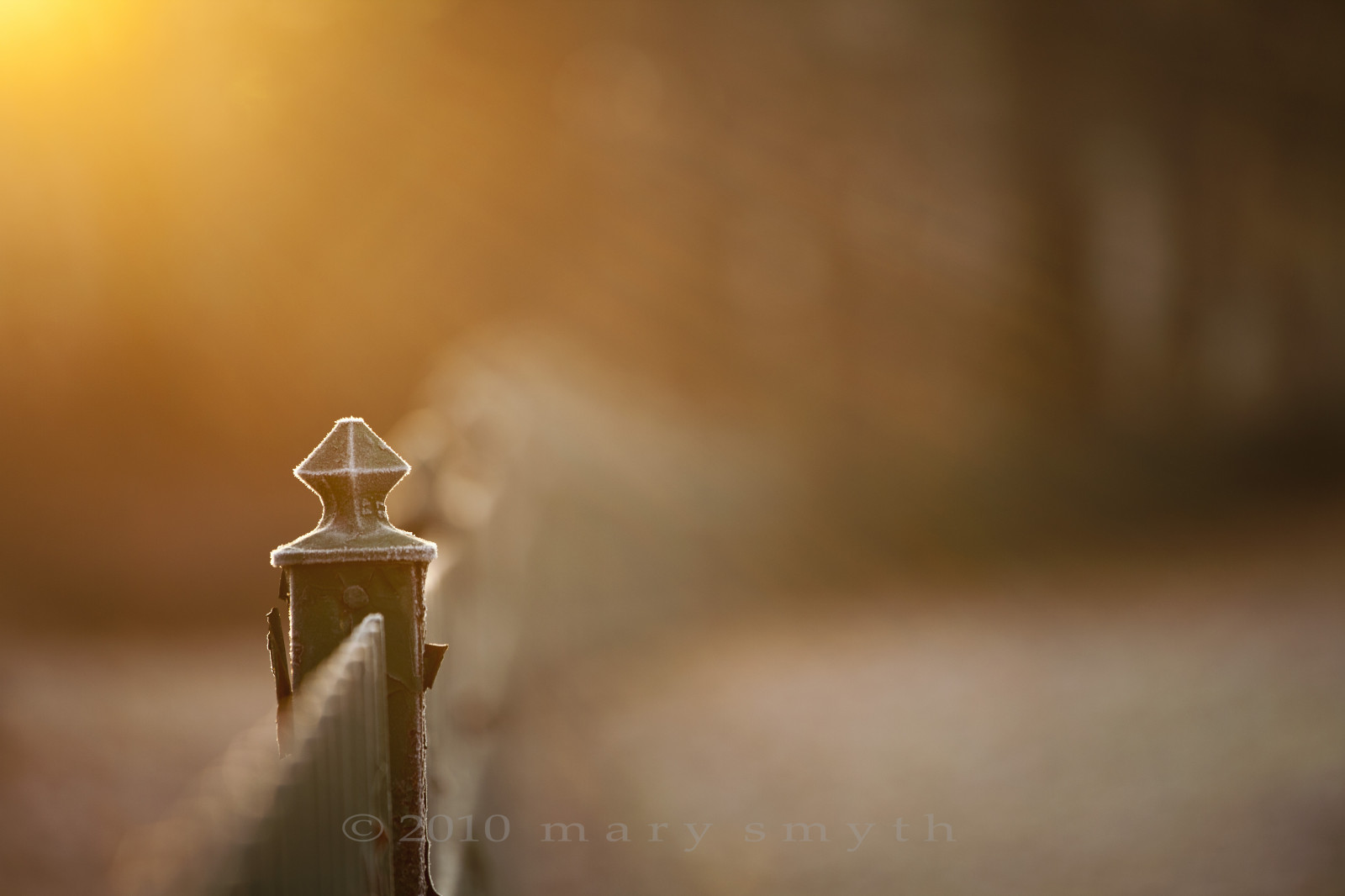 mattina, freddo, ferro, gdl, bokeh, arrugginito, gelido, i raggi del sole, HFF, bokehfence, fencefriday, fencedfriday
