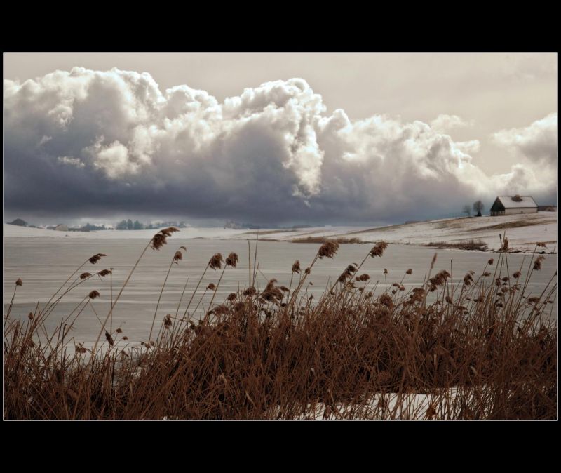 nebe, jev, mrak, pole, prérie, zima