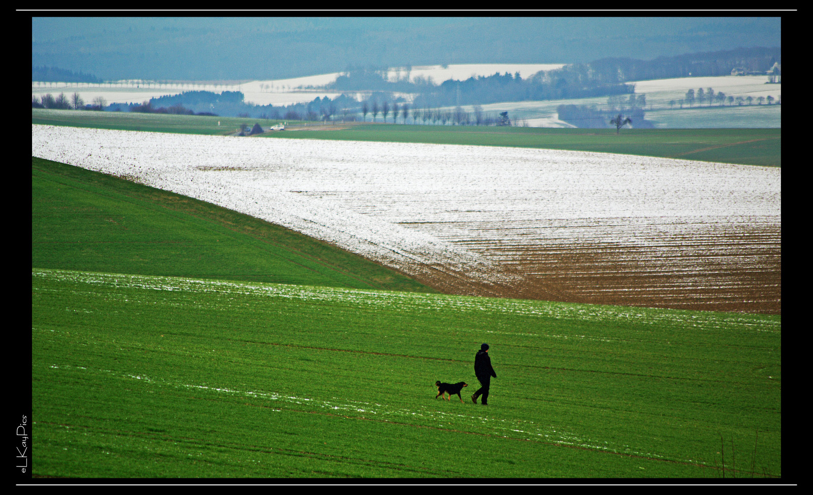 krajina, Příroda, tráva, zima, ráno, Německo, Pes, horizont, chůze, struktura, pentax, Procházka, Landschaft, lučina, muž, K7, psík, deutschland, prostý, Spaziergang, hessen, Snímek obrazovky, Taunus, idsteinerland, elkaypics, sportovní dějiště, Idstein, goldenergrund