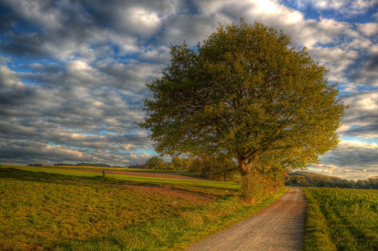 luce del sole, alberi, paesaggio, autunno, tramonto, collina, lago, acqua, natura, riflessione, erba, cielo, parco, campo, strada, nuvole, ramo, verde, giallo, sera, mattina, Germania, le stagioni, fiume, Sole, azienda agricola, HDR, orizzonte, atmosfera, gufo, primavera, 2013, settembre, leggero, nube, bellissimo, albero, autunno, nuvoloso, foglia, Landschaft, alba, prateria, stagione, colore, atardecer, himmel, campagna, natur, deutschland, pascolo, colori, agricoltura, prato, Soleil, ciel, nuages, automne, pianura, eccezionale, sonnenuntergang, Herbst, wasser, wolken, eau, allemagne, licht, Photomatix, b ume, parque, lavorazione, Arbres, palmare, NRW, Porta, zonsondergang, Weser, Westfalen, Ostwestfalen, couchesoleil, prateria, couche, solfald, riviere, area rurale, sfondo del computer, pianta legnosa, famiglia di erba, fenomeno meteorologico, westfalica, Wesergebirge, septembre, Wiehengebirge, Bustedt, ecoregione