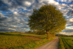 lumière du soleil des arbres paysage tomber le coucher du soleil colline Lac eau la nature réflexion herbe ciel parc champ route des nuages branche vert jaune soir Matin Allemagne saisons rivière Soleil HDR horizon hibou printemps 2013 septembre lumière nuage beau arbre l'automne nuageux feuille Landschaft Aube saison Couleur Atardecer Himmel campagne Natur Deutschland couleurs agriculture Prairie Soleil Ciel Nuages Automne impressionnant Sonnenuntergang Herbst Wasser Wolken Eau Allemagne Licht Photomatix B ume Parque En traitement Arbres Portable Nrw Porta Zonsondergang Weser Westfalen Ostwestfalen Couchesoleil Couche Solfald Riviere zone rurale Papier peint de l'ordinateur Plante boisée Phénomène météorologique Westfalica Wesergebirge Septembre Wiehengebirge Bustedt ferme atmosphère prairie pâturage plaine prairie Famille d'herbe Écorégion lumière du soleil des arbres paysage tomber le coucher du soleil colline Lac eau la nature réflexion herbe ciel parc champ route des nuages branche vert jaune soir Matin Allemagne saisons rivière Soleil HDR horizon hibou printemps 2013 septembre lumière nuage beau arbre l'automne nuageux feuille Landschaft Aube saison Couleur Atardecer Himmel campagne Natur Deutschland couleurs agriculture Prairie Soleil Ciel Nuages Automne impressionnant Sonnenuntergang Herbst Wasser Wolken Eau Allemagne Licht Photomatix B ume Parque En traitement Arbres Portable Nrw Porta Zonsondergang Weser Westfalen Ostwestfalen Couchesoleil Couche Solfald Riviere zone rurale Papier peint de l'ordinateur Plante boisée Phénomène météorologique Westfalica Wesergebirge Septembre Wiehengebirge Bustedt ferme atmosphère prairie pâturage plaine prairie Famille d'herbe Écorégion