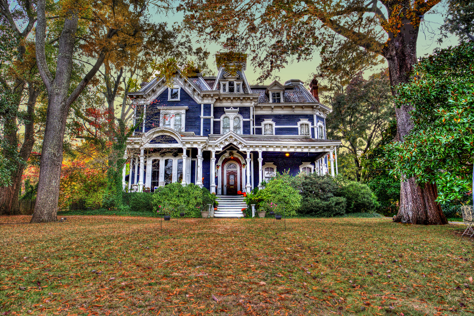 Wallpaper house, Rome, breakfast, ga, bed, claremont, bnb