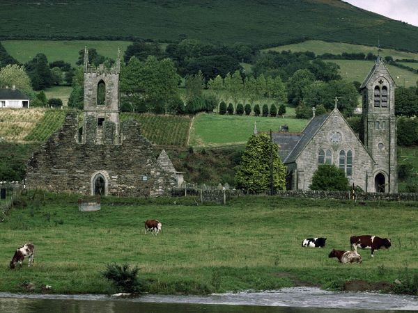 landscape,grass,sky,field,green,village