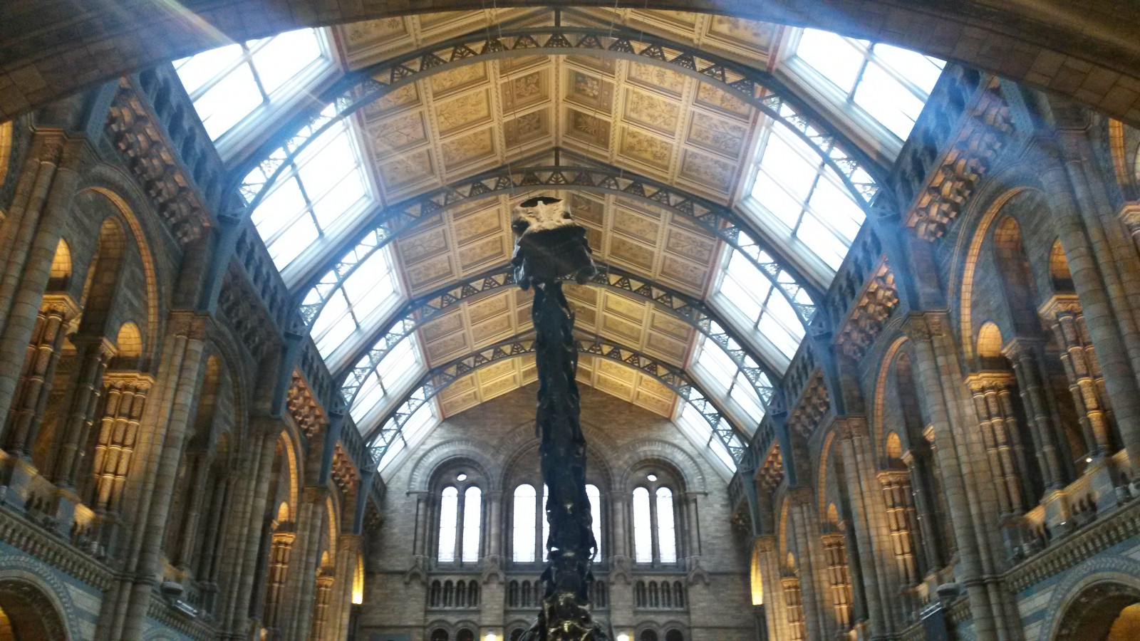 Naturalhistorymuseumdinosaurlondonevolutiongiant, Dippydiplodocus, Londýn, Diplodocidsauropod, kostra, slavný, ikonický, vyhynulý, Dippyontour