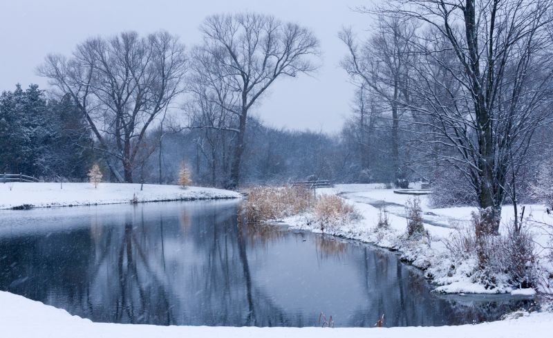 winter, snow, 100xthe2014edition, pond, carletonplace, localpark winter, snow, 100xthe2014edition, pond, carletonplace, localpark