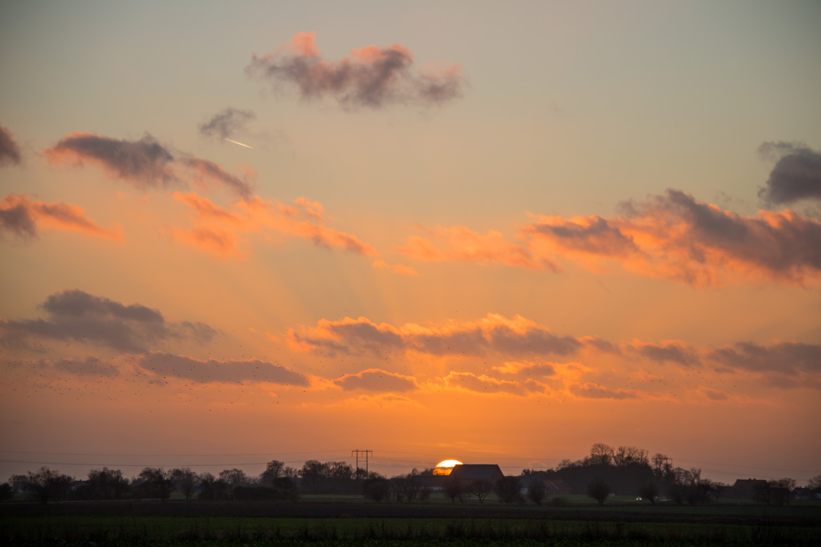 sollys, landskab, solnedgang, himmel, solopgang, aften, morgen, Sol, horisont, atmosfære, skumring, Sky, daggry, himmel, solnedg ng, landskabet, Moln, landsbygd, s dersl tt, landskap, exif model canoneos760d, geocountry, kamera gør kanon, geocity, kameramodel canoneos760d, geostate, geolocation, exif linse efs18200mmf3556is, exif gøre kanon, exif isospeed 100, exif focallength 110mm, exif åbning 63, atmosfærisk fænomen, efterglød, rød himlen om morgenen, meteorologisk fænomen