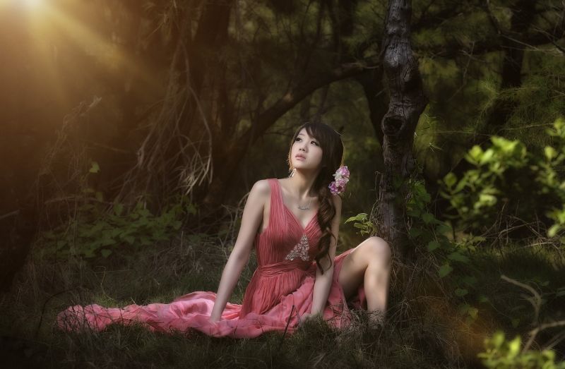 sunlight, forest, women, model, Asian, photography sunlight, forest, women, model, Asian, photography