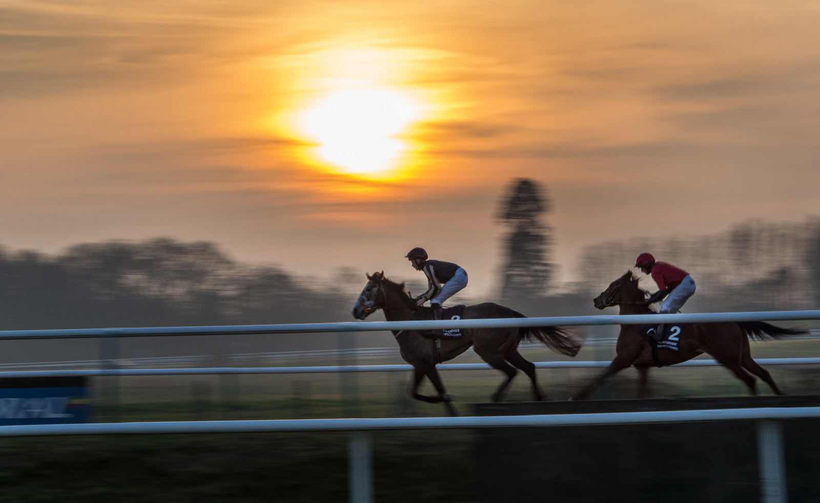 Wallpaper sky, water, reflection, light, sunset, morning, horse like