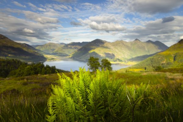 sunlight, landscape, hill, contrast, mountains, lake