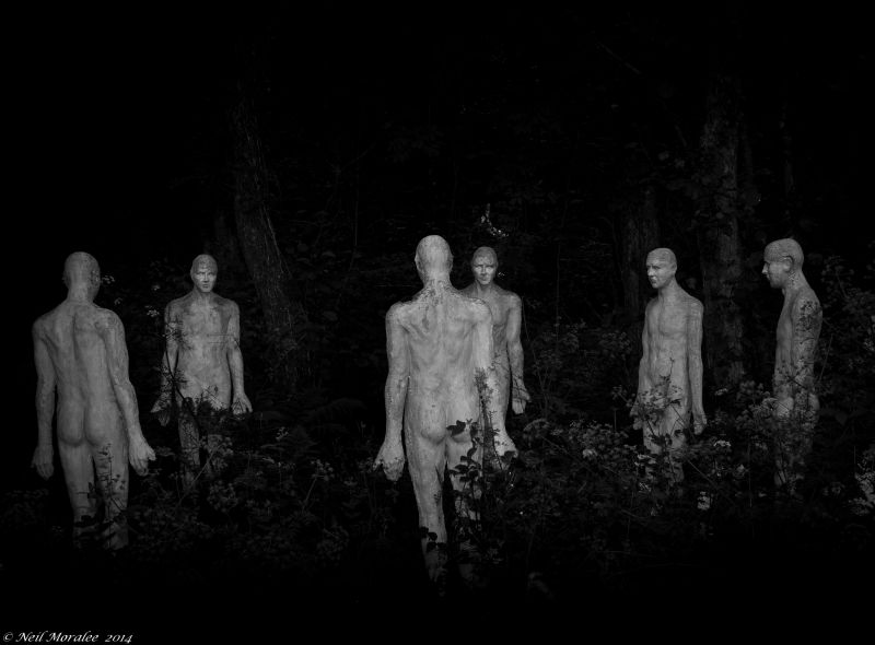 bílý, Černá, fotografie, Černý a bílý, tma, monochromatické fotografování bílý, Černá, fotografie, Černý a bílý, tma, monochromatické fotografování