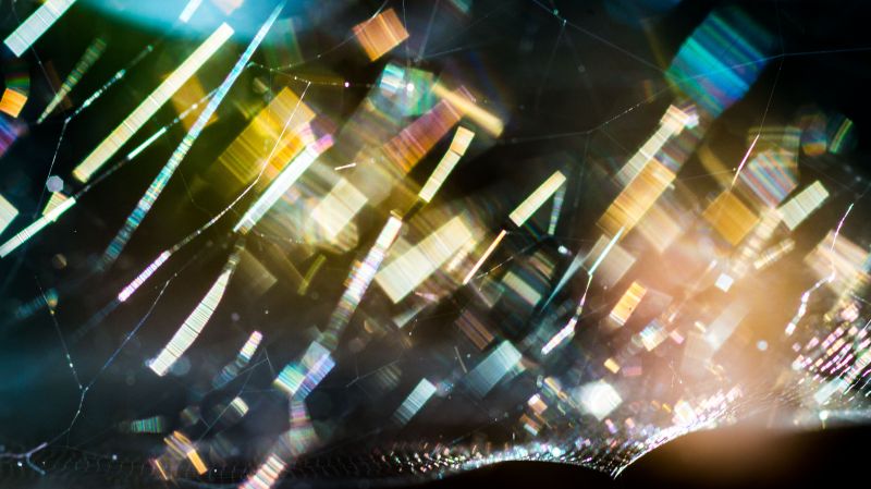 light,macro,spider,Nikon,Chaos,bokeh