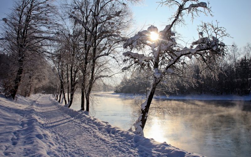 sunlight, landscape, forest, nature, reflection, snow sunlight, landscape, forest, nature, reflection, snow