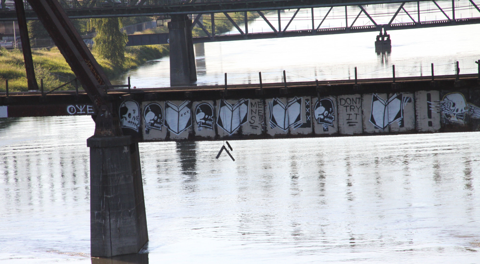 acqua, riflessione, treno, libri, ponte, fiume, graffiti, brani, albero, treni, ferro, libro, traccia, leggere, booker, moniker, bookman