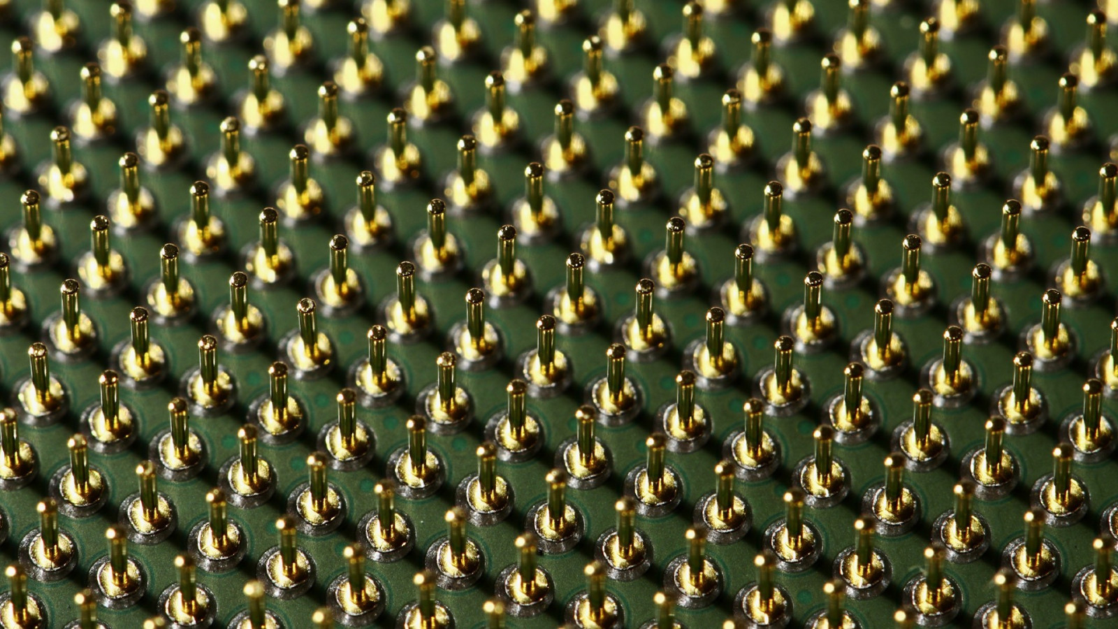 slunečnímu záření, tráva, zelená, žlutý, vzor, textura, procesor, kruh, procesor, TO, list, květ, rostlina, flóra, tvar, design, trávník, suchozemská rostlina, kvetoucí rostlina, makro fotografie