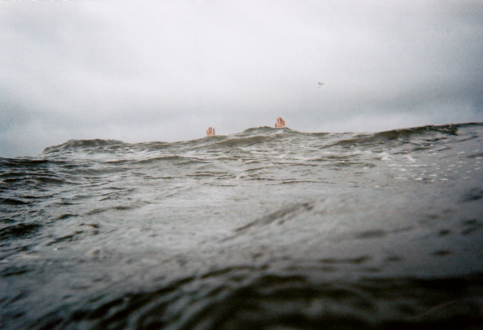 nero, mani, mare, acqua, puntellare, cielo, spiaggia, tempesta, onde, costa, vento, orizzonte, 35MM, Kodak, nube, oceano, onda, analogico, film, analogico, marea, nuotare, corpo d'acqua, vento onda, monouso, coastal and oceanic landforms