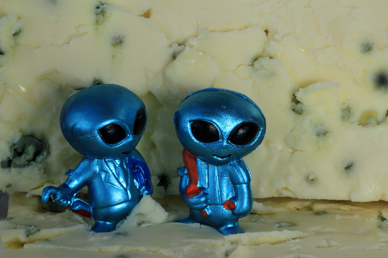 Wallpaper : arbyreed, close, closeup, fun, cheese, bluecheese ...