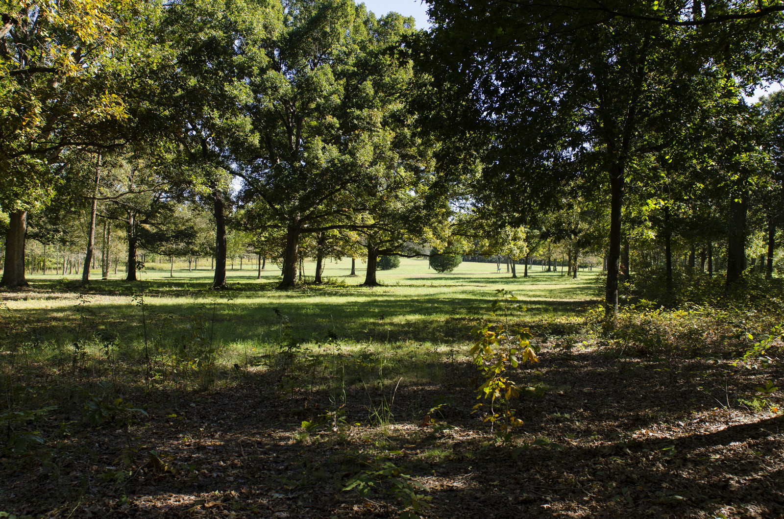 Spring Landscape Army Wallpaper : sunlight, landscape, sky, park, outdoors, war, battle ...