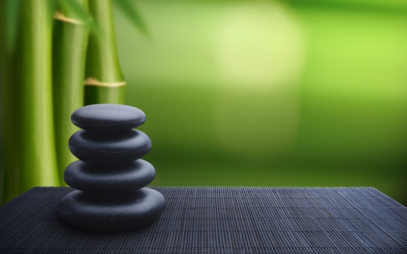 grass, stones, green, bamboo, light, lighting