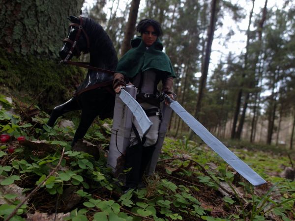 anime, forest, cosplay, knight, horse, grass