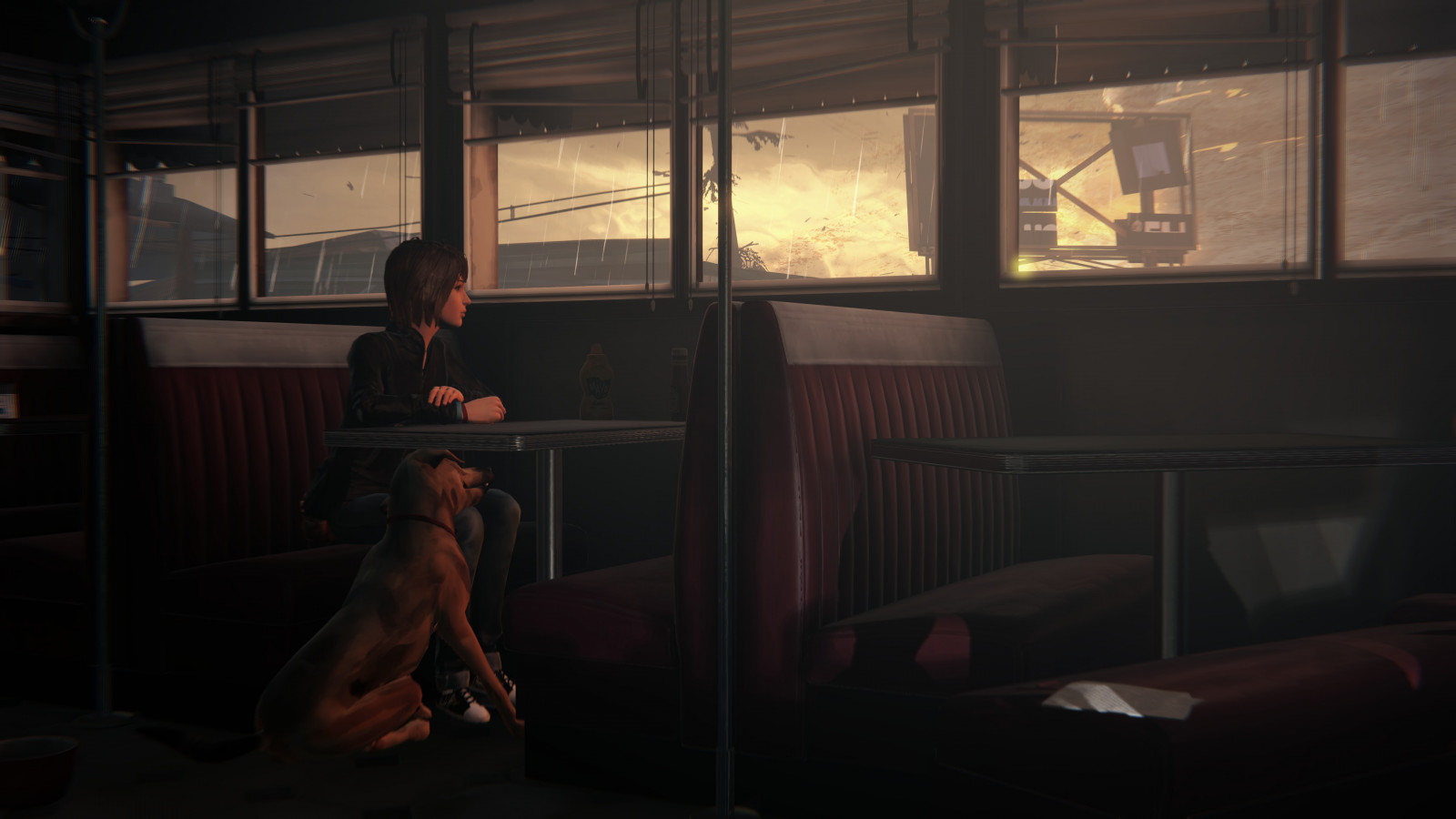 Hund, Fenster, flash photography, Fleischfresser, Tints and shades, companion dog, Hunderasse, Dunkelheit, öffentlicher Verkehr, Mitternacht, Sitzung, Bodenbelag, Spaß, Zimmer, Glas, Nacht-, Boot, Passagier, Sessel, visual arts, Abend, Schatten, Wachhund, Straße, Tageslicht, einfarbig, Platz, Stadt, Betrachtung