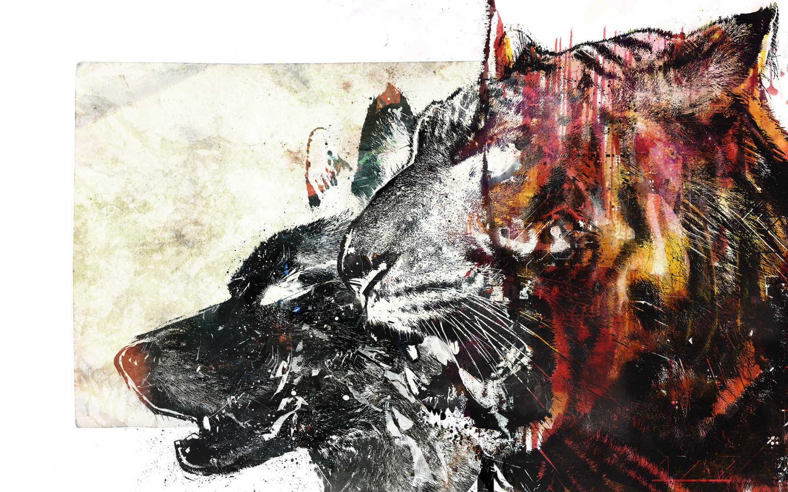 pictură, ilustrare, animale, tigru, lup