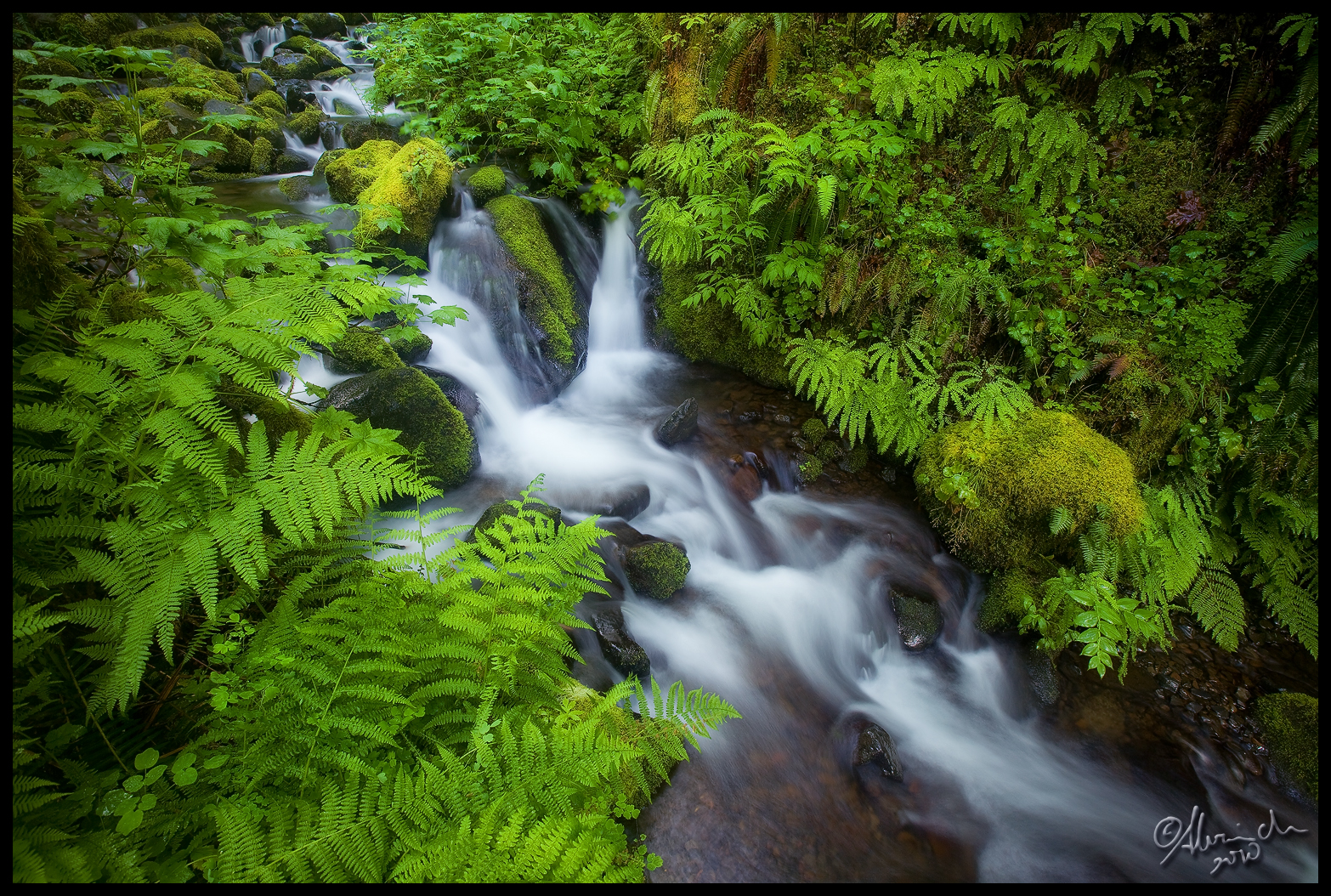Oregon Ravines Wallpaper : landscape, waterfall, grass, moss, green, river, Canon ...