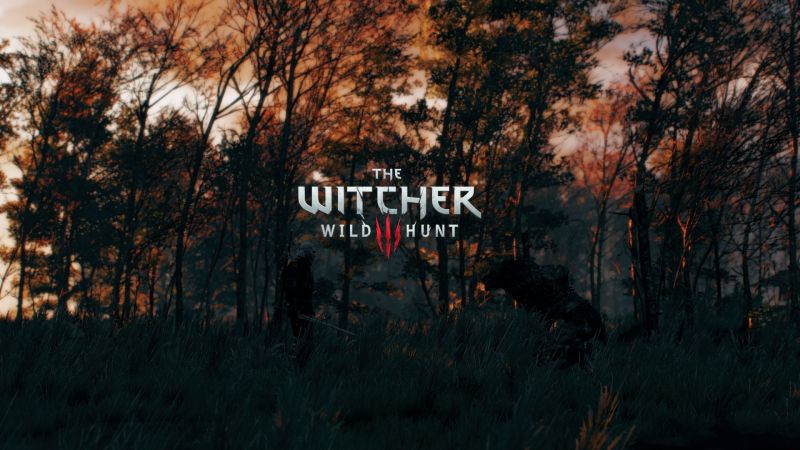 les, Witcher 3 Wild Hunt, strom, podzim, sezóna, tma les, Witcher 3 Wild Hunt, strom, podzim, sezóna, tma