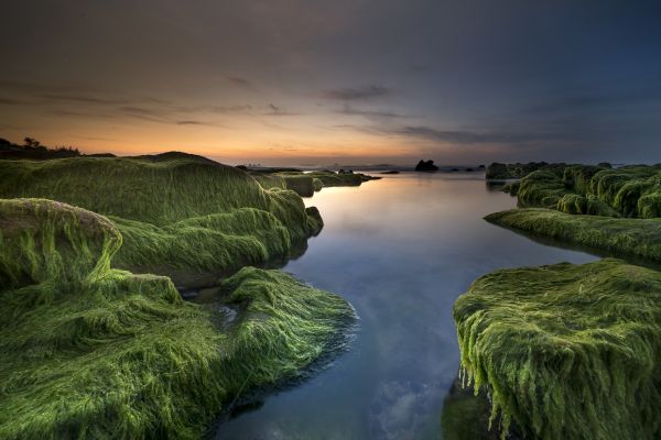 river,nature,landscape