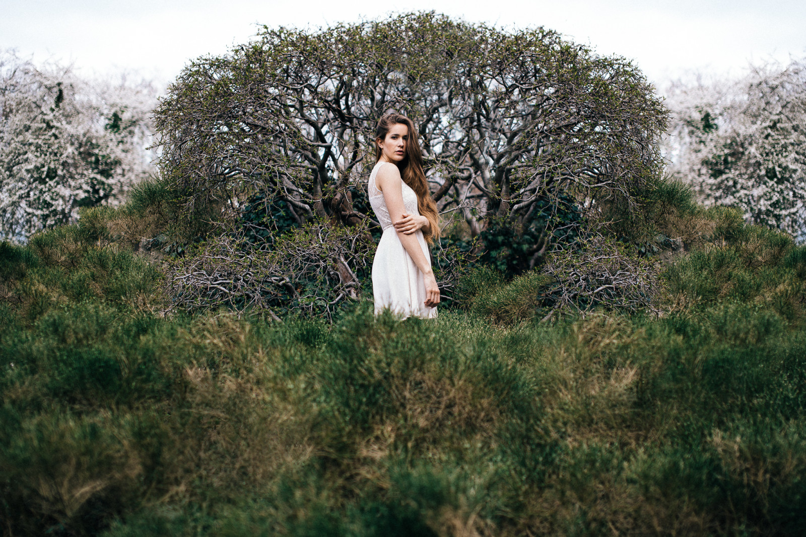 Landschaft, Wald, Weiß, Modell-, Porträt, Natur, Gras, Himmel, Fotografie, Kleid, Ast, Kamera, Mode, Nikon, Bokeh, Emotion, Frühling, bearbeiten, verträumt, Berlin, 85mm, schön, Baum, Blume, Pflanze, Mädchen, Schönheit, Frau, Tagtraum, Analoge, Foto, tolle, Kamera, Plantage, Vsco, Sigma, genial, schön, perfekt, 14, D800, Weis, Kleid, Girly, H bsch, Porta, Wald, Ökosystem, Likefashion, Vscouser, Gr ser, Vscolove