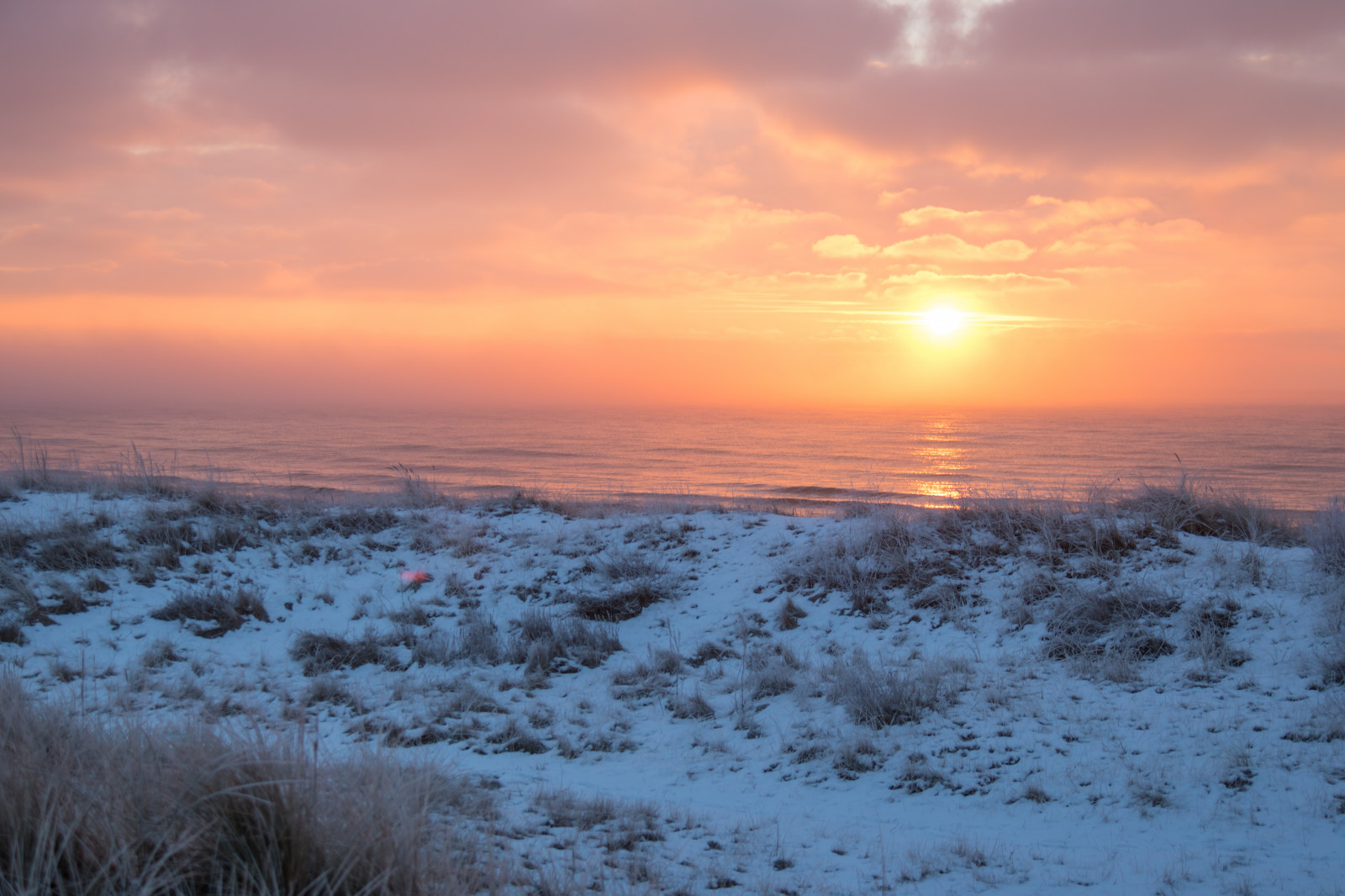 luce del sole, tramonto, mare, la neve, inverno, Alba, freddo, sera, mattina, brina, Sole, orizzonte, crepuscolo, Brina, Congelamento, nube, tempo metereologico, alba, stagione, Vinter, kallt, skateholm, rimfrost, ambiente naturale