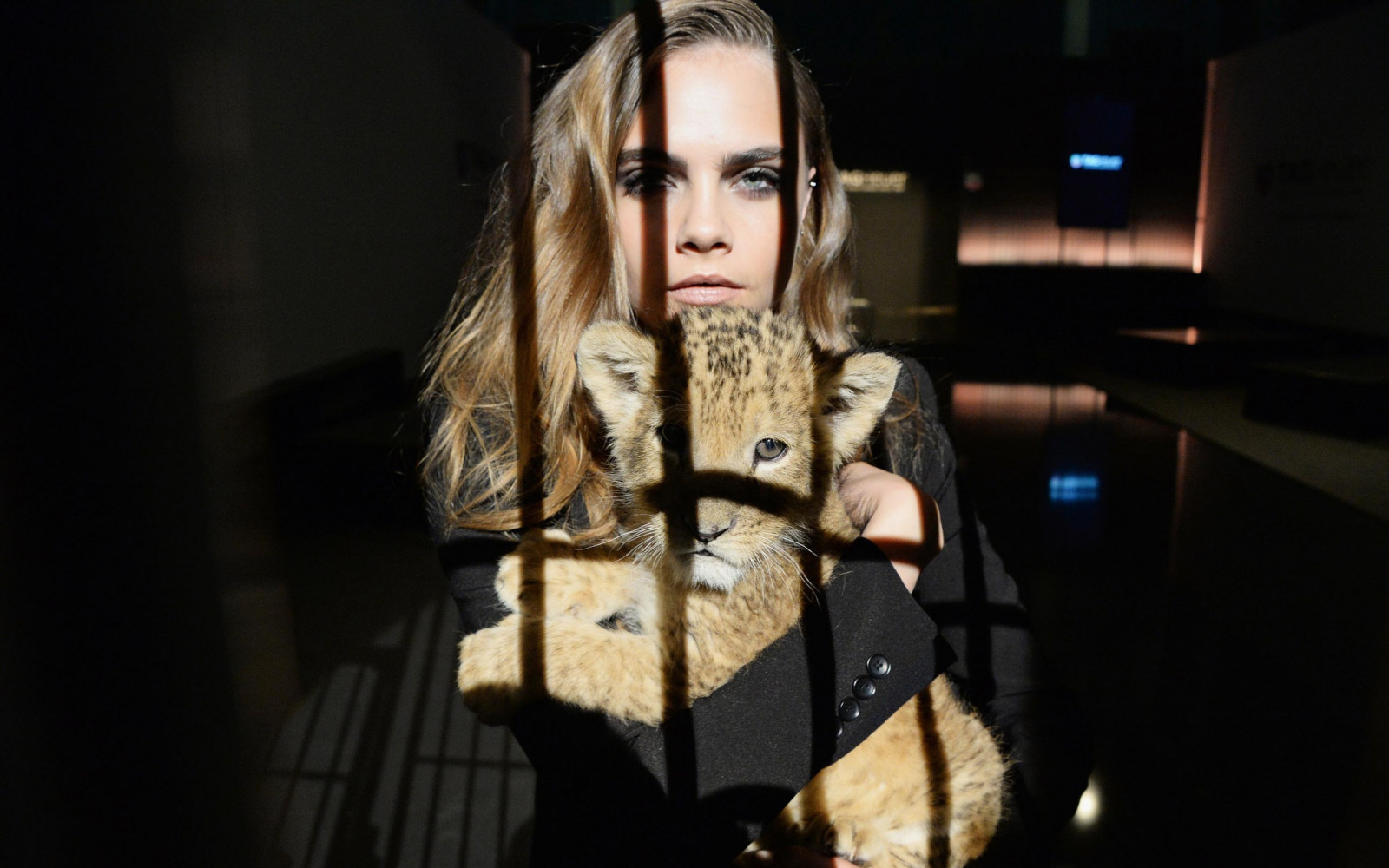 Tiere, Frau, Modell-, Cara Delevingne, Musik-, Sänger, Löwe, Musiker, Mode, Babytiere, Singen, Unterhaltung, Schönheit, Performance, Stufe, Dunkelheit, Konzert, Leistungskunst, Singer Songwriter, darstellende Künste