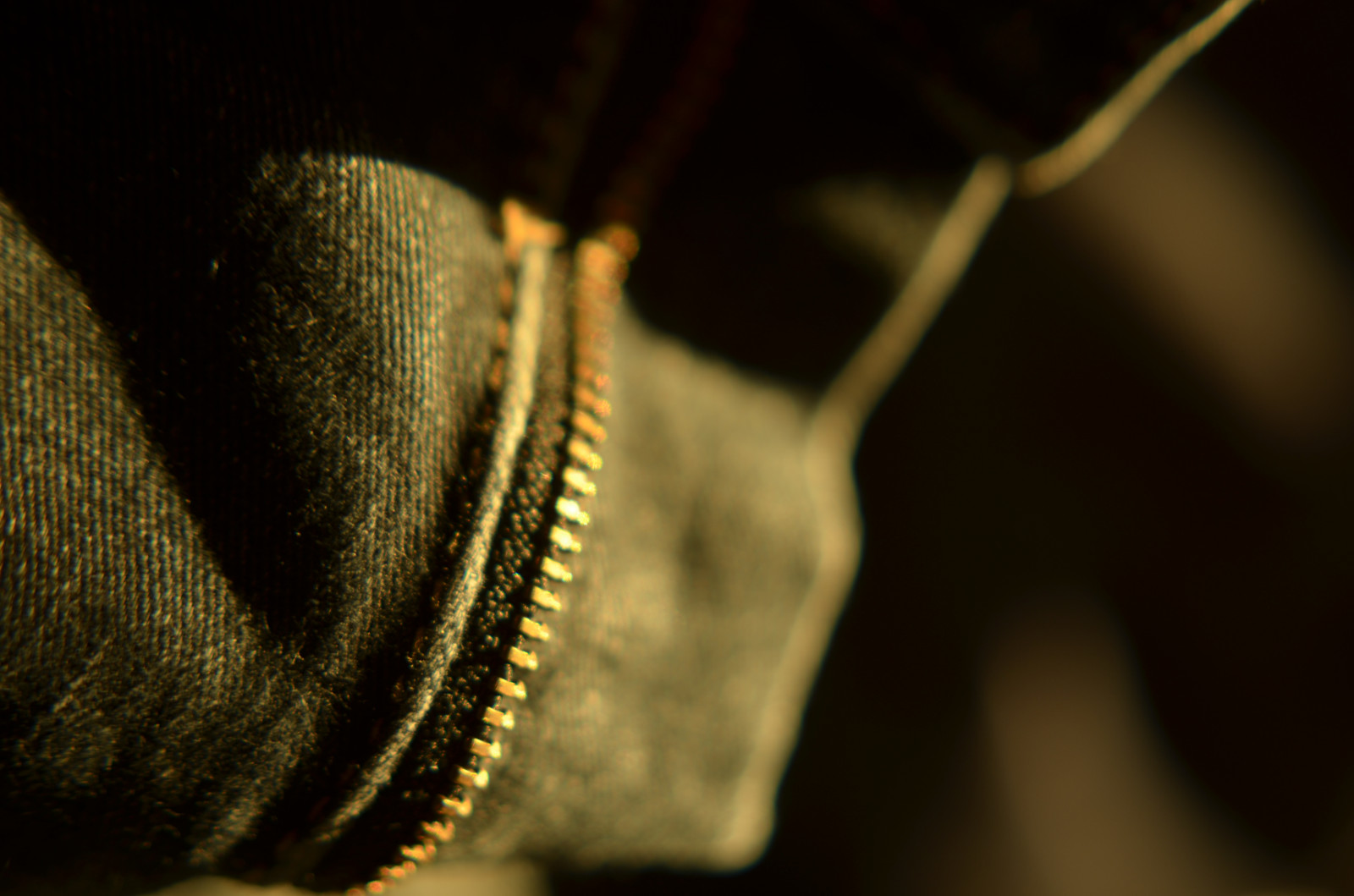 Wallpaper stilllife, sunlight, Ontario, Canada, blur, Nikon, dof