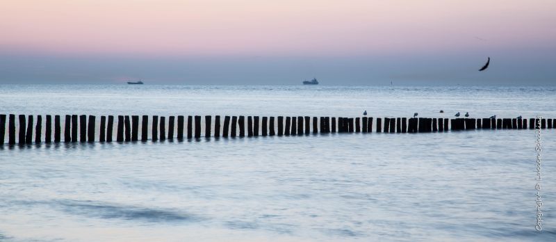 Hollande,Nl,mer,Pays-Bas,Zeeland,Cadzand
