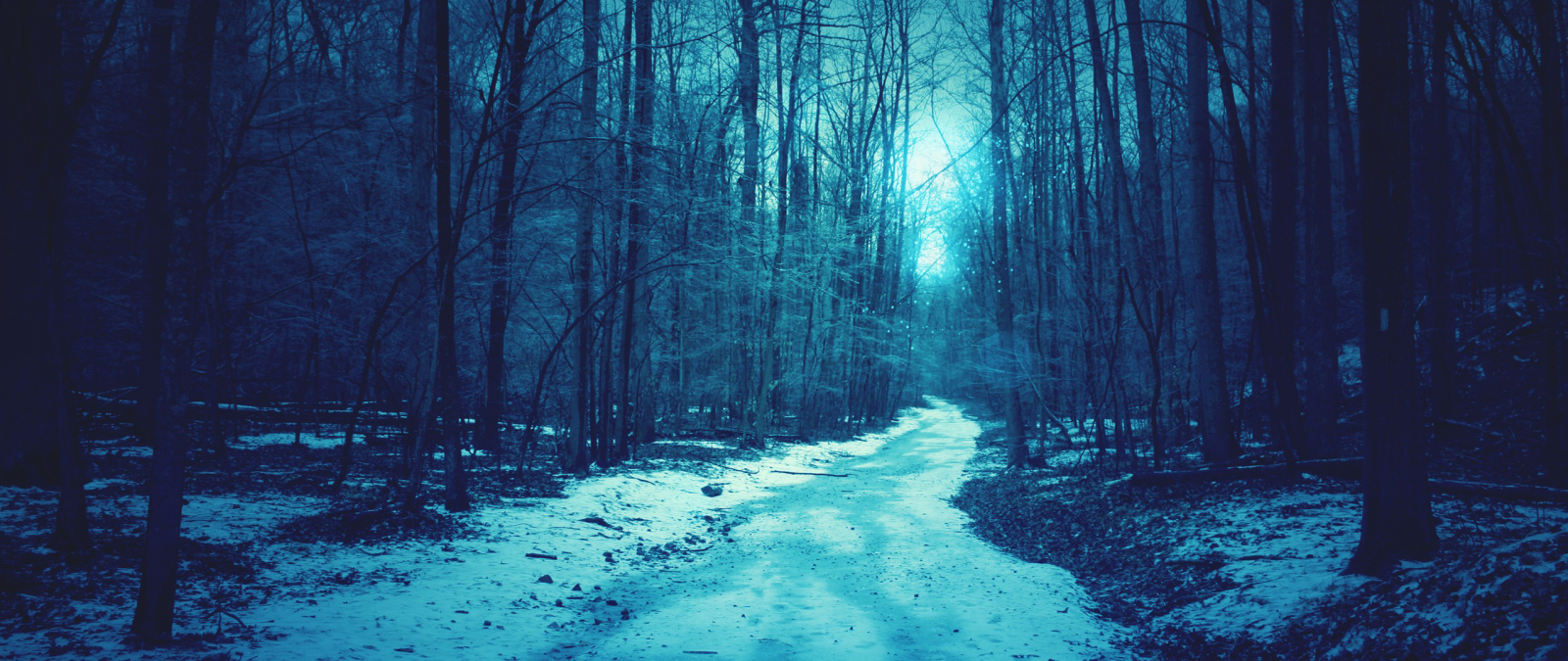 แสงแดด, แนวนอน, ป่า, กลางคืน, ธรรมชาติ, การสะท้อน, การถ่ายภาพ, สีน้ำเงิน, น้ำแข็ง, แสงจันทร์, บรรยากาศ, กว้างมาก, ความมืด, ถิ่นที่อยู่, สภาพแวดล้อมทางธรรมชาติ, ปรากฏการณ์บรรยากาศ, วอลล์เปเปอร์คอมพิวเตอร์, คุณลักษณะทางภูมิศาสตร์, ระบบนิเวศ