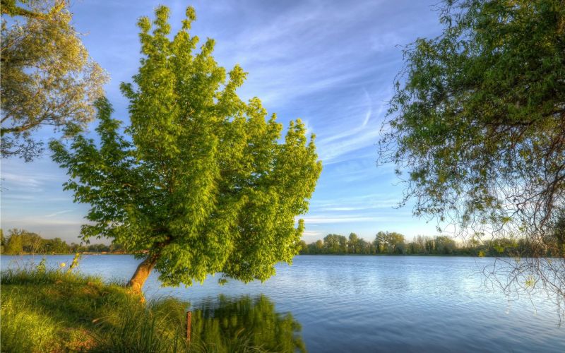 slunečnímu záření,krajina,Příroda,stromy,jezero,odraz