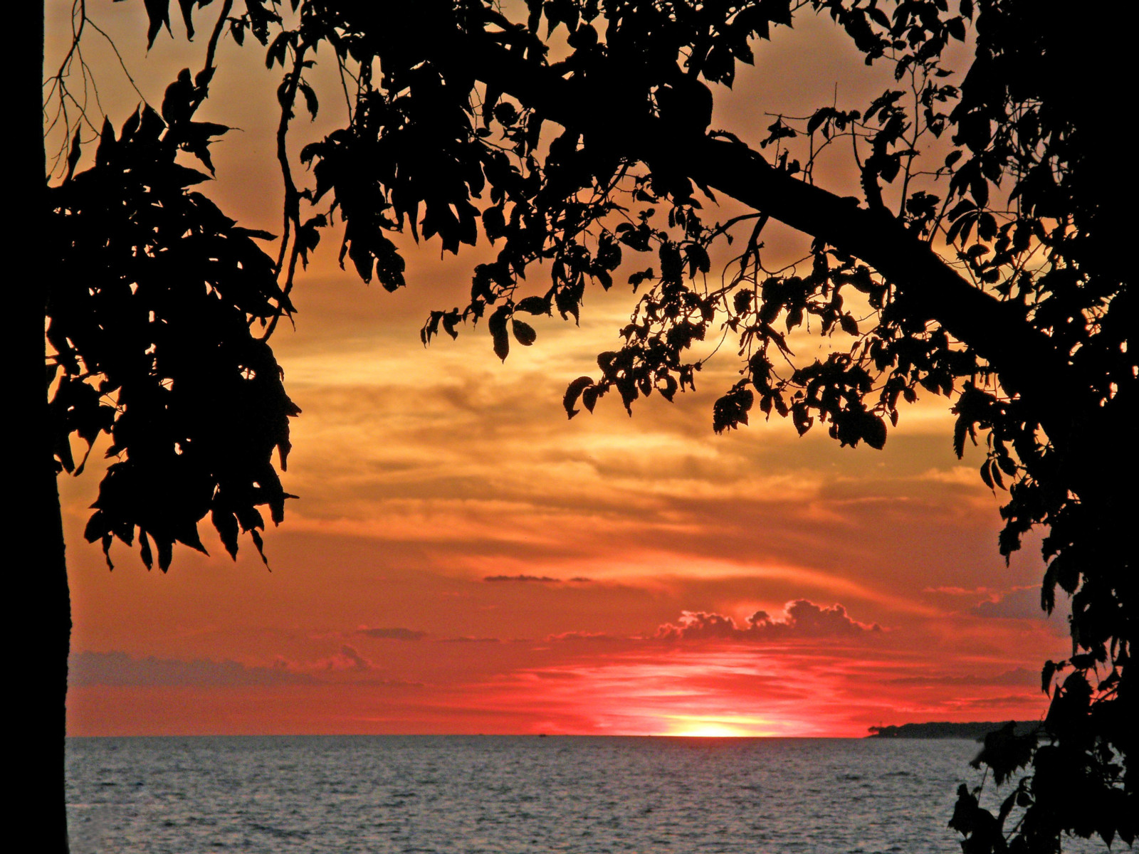 gökyüzü, doğa, gün batımı, gündoğumu, Ağaç, Yaprak, Su, akşam, sabah, Şube, Akşam yemeğinden sonra, Güneş ışığı, Güneş, Şafak vakti, Alacakaranlık, ufuk, sakin, siluet, Bilgisayarın duvar kağıdı, deniz