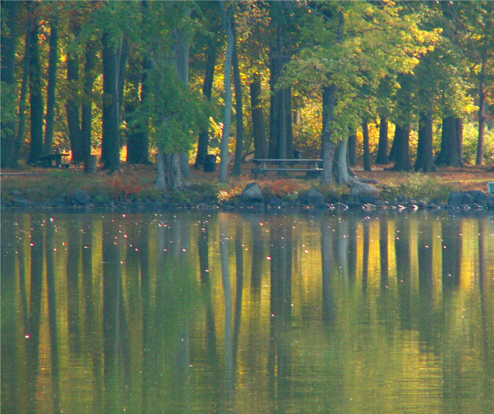 slunečnímu záření, stromy, krajina, malování, les, podzim, jezero, voda, Příroda, odraz, tráva, park, větev, zelená, večer, ráno, lavice, řeka, rybník, banka, bažina, mokřadní, strom, podzim, list, barvy, odrazy, nádrž, blueribbonwinner, goldstaraward, odlesky, bayou, zálesí, háj, bažina, ekosystém, mírné jehličnatý les, biome, prales, smíšený les, opadavý, bažina, lužní les, 10faves, národní park, lužní, specnature, Unature, Yelloe, Rocklandlake