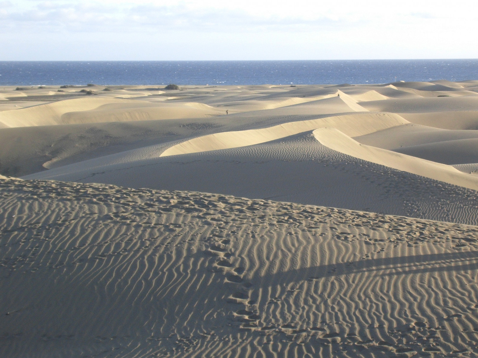 rejse, strand, GranCanaria, streng, landskab, Mar, Spanien, sand, meer, hoppe, klitter, kanaren, urlaub, klit, natur, paisaje, Canarias, Espana, kanariefugl, 1001nights, paysage, Landschaft, espagne, Isla, spanien, Dunas, isola, rejser, islascanarias, Dunen, Maspalomas, ø, dunasdemaspalomas, gran, canaria, roba66, 1001nightsmagiccity