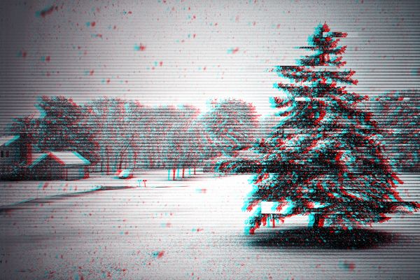 trees,tree bark,tree trunk,snow,snow flakes,winter
