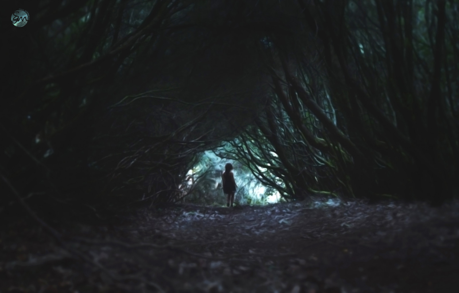 modrý, stromy, světlo, barva, strom, zelená, oko, předvečer Všech svatých, Příroda, dívka, les, photomanipulation, temný, fotografování, les, tma, kouzlo, výtvarné umění, fantazie, haloween, fantazie, Pojmový, darkart, girk, magicworld, conceptualphotografy