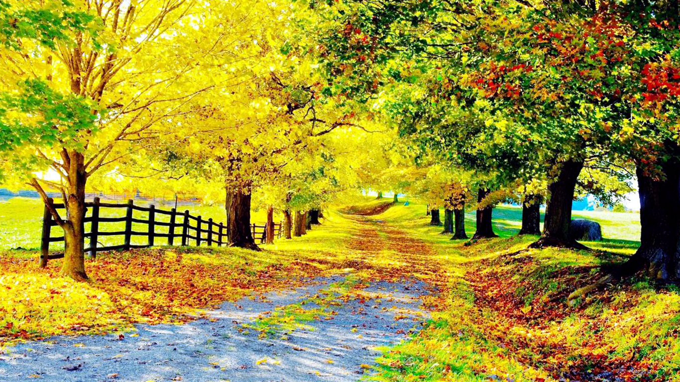 обои : 1366x768 px, X px 1366x768 - 4kWallpaper - 808781 - красивые ...