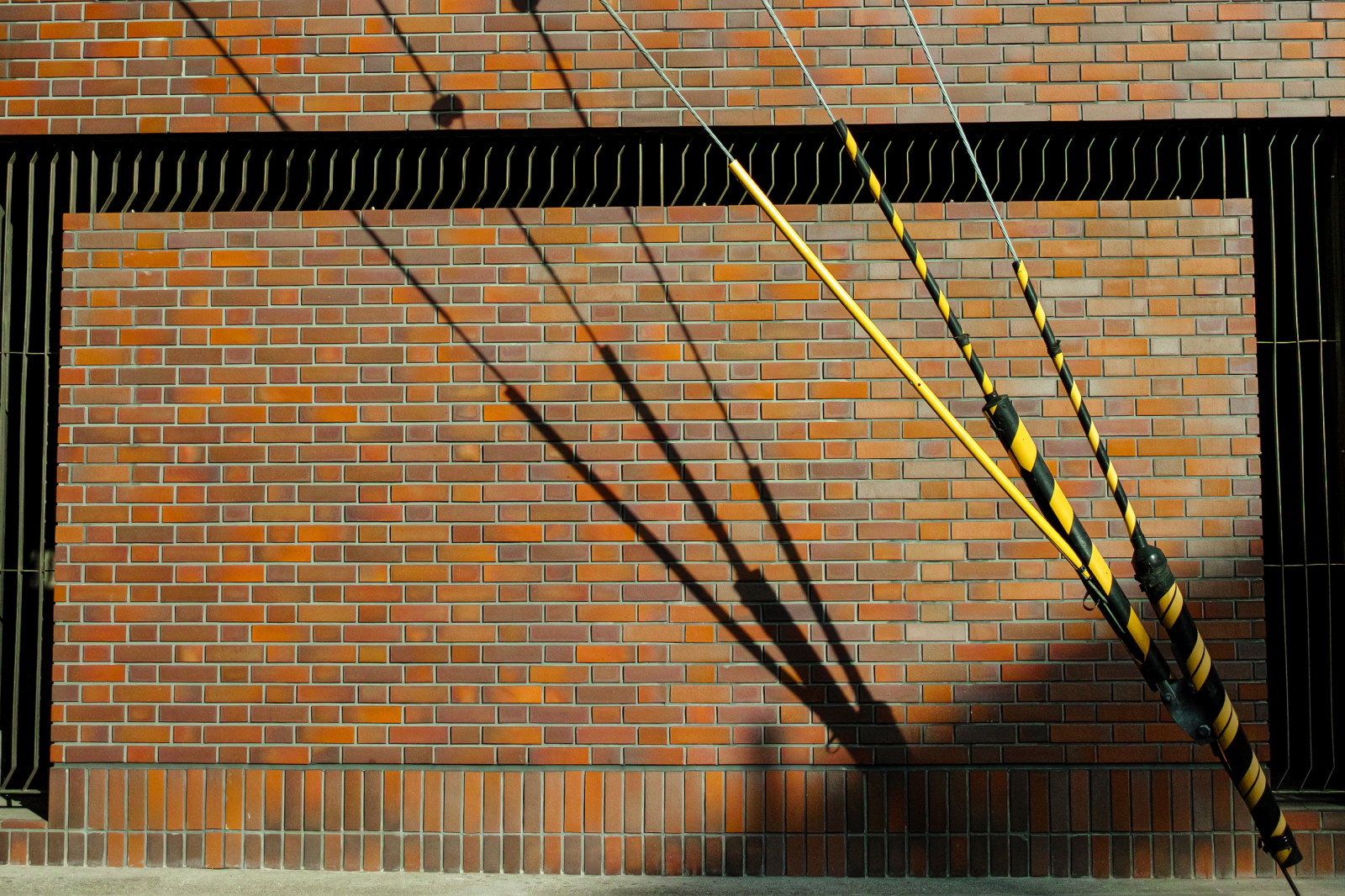 sigma, dp, Foveon, Quattro, DP1, Dp1quattro, dp1q