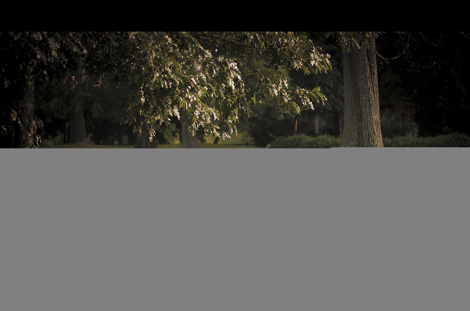 อัตโนมัติ, ต้นไม้, สีขาว, รถ, รั้ว, Nikon, รถยนต์, ยานยนต์, ซูบารุ, โรงภาพยนตร์, impreza, WRX, STI, dunlop, โรต้า, 18x10, 2653518, svnr