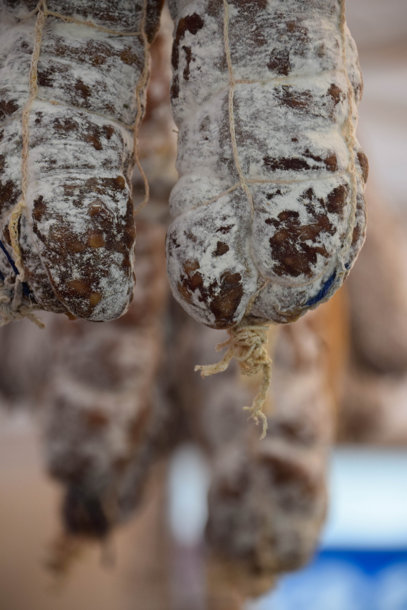 jídlo, město, zima, cukroví, Švédsko, jaro, Sverige, list, venkovní, sezóna, sk nel n, se, sk ne, Ystad, ystadkommun, pečivo, pouliční trh, foodmarket, foodmarekt, ystadsinternationalstreetmarket2016, půda, zblízka, makro fotografie