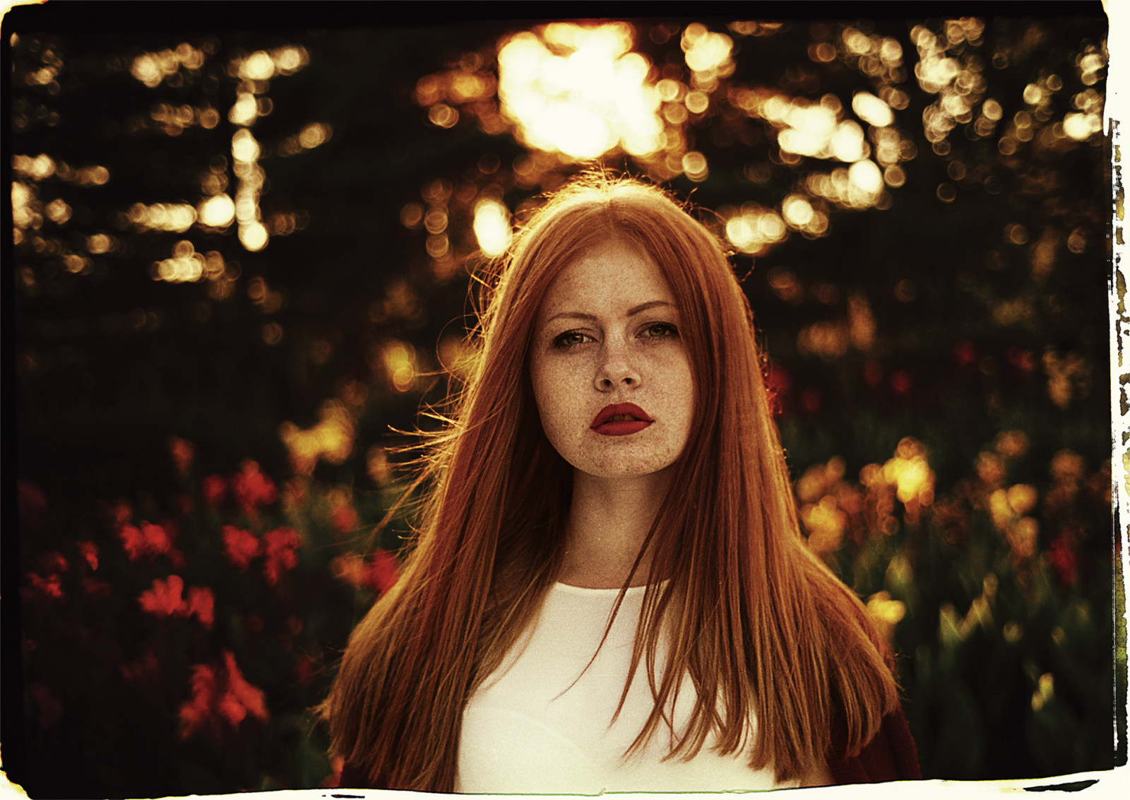 Leica, fiori, rosso, 2, ritratto, donna, film, ragazza, bellezza, giallo, 35MM, giardino, botanico, 50 millimetri, Kodak, telemetro, Ucraina, testa Rossa, Summicron, Visione, f2, doppio, Kiev, gamma, cl, 50d