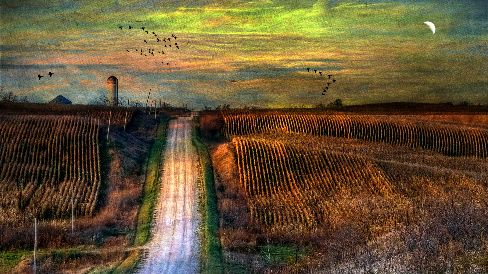 แนวนอน, ท้องฟ้า, ฟิลด์, ถนน, ดวงจันทร์, ตอนเย็น, เช้า, ห่าน, ข้าวโพด, ไซโล, พื้นที่ชุ่มน้ำ, กะพริบตา, magicunicornverybest, bestietdigitalphotography, ทุ่งหญ้า, bestevercompetitiongroup, creativephotocafe, บึง, photomix, bestevergoldenartists, เขตชนบท